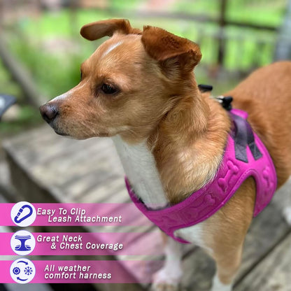 Comfort Fit Dog Harness Soft Padded No Pull Harness with Harness