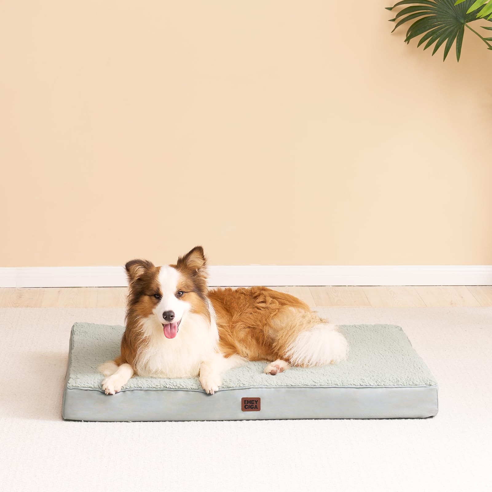 EHEYCIGA Washable Dog Beds for Extra Large Dogs, XL Dog Bed