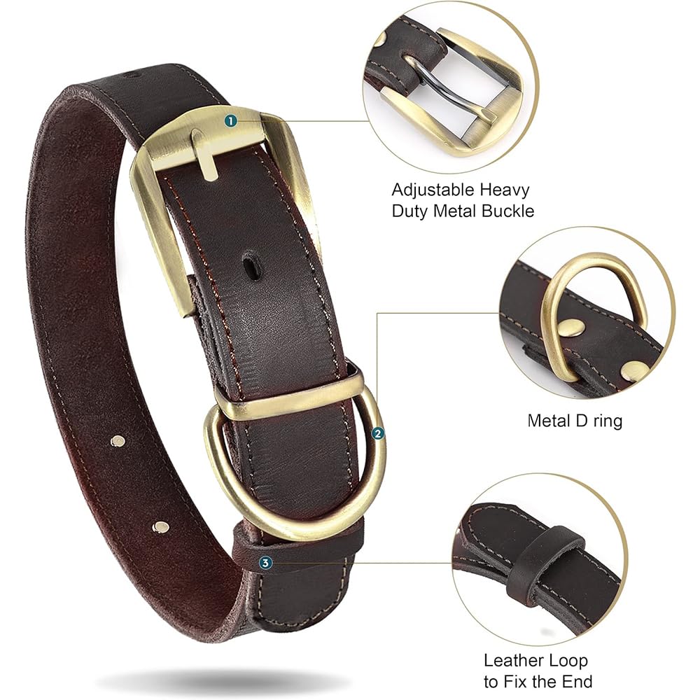 Didog Genuine Leather Dog Collars with Engraved Nameplate Collar