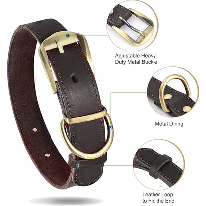 Didog Genuine Leather Dog Collars with Engraved Nameplate Collar