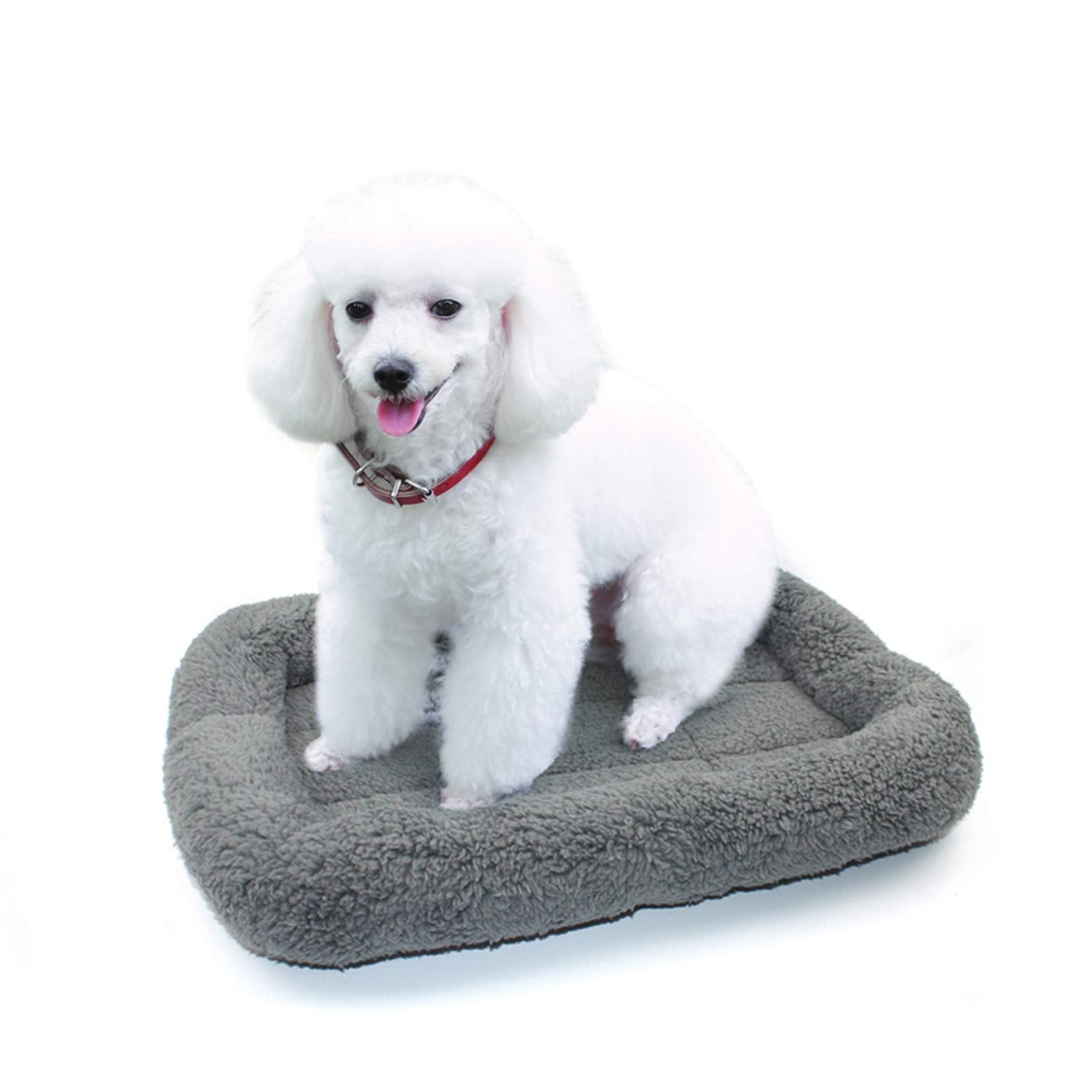 Enjoying Cat Mat Bed 16" x 22" Pet Bed with Pillow Around