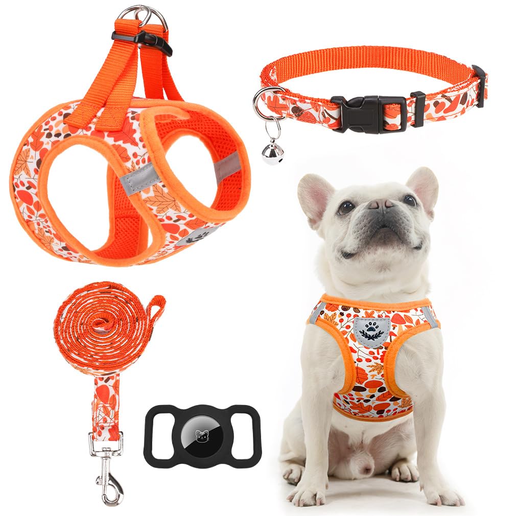 EXPAWLORER Thanksgiving Autumn Puppy Harness Dog Collar and Leash