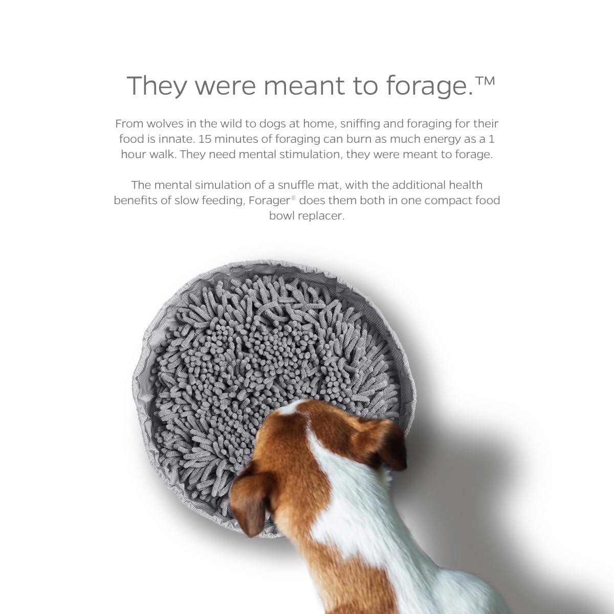 Pet Parents Forager Bowls, Slow Feeder Dog Bowls with SoftSnout Mat
