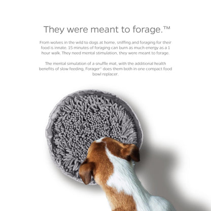 Pet Parents Forager Bowls, Slow Feeder Dog Bowls with SoftSnout Mat