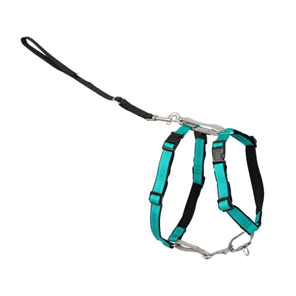 PetSafe 1 No-Pull Dog Harness for Small Dogs- Walk, Train or Harness