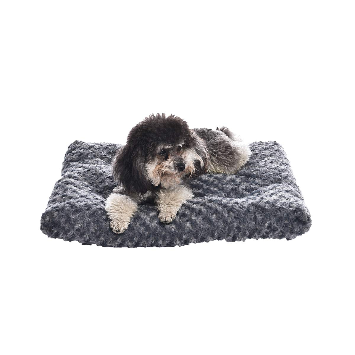 Amazon Basics Washable Cat and Dog Bed and Crate Pad, Indoor, Crate
