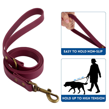 Wisedog Waterproof Dog Collar and Leash Set, Adjustable Puppy Collar