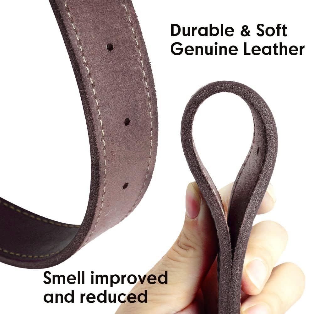 Didog Genuine Leather Dog Collars with Engraved Nameplate Collar