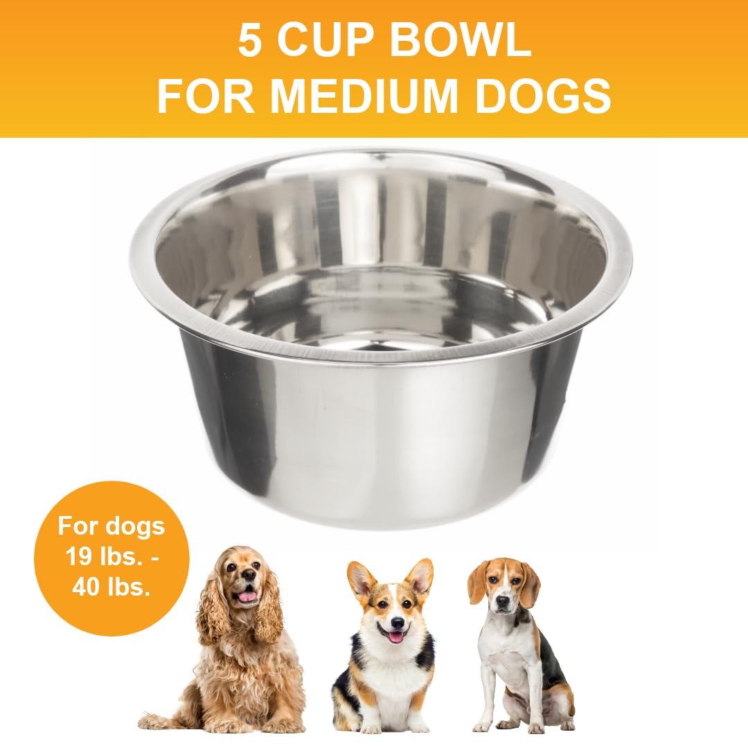 Neater Pet Brands 5 Cup Stainless Steel Dog Bowls, Set of 2 Bowl