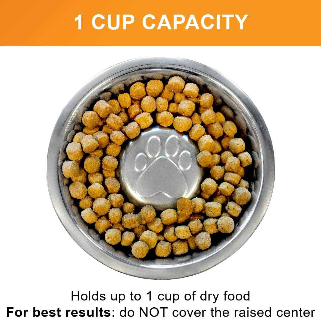 Neater Pet Brands Stainless Steel Slow Feed Dog Bowl for Fast Bowl