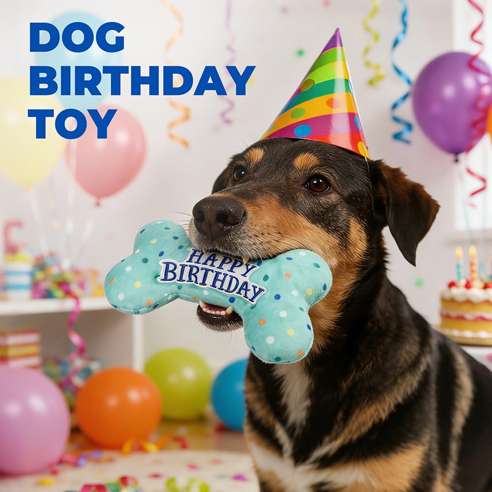 Prime Pets Dog Birthday Toys, 3 Pack, Crinkle Squeaky Dog Toys