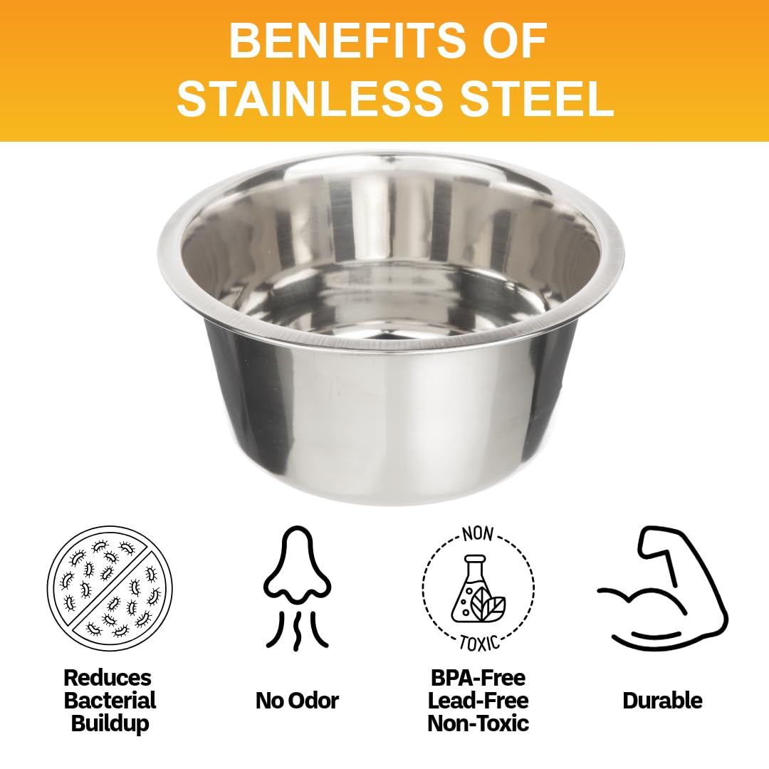 Neater Pet Brands 5 Cup Stainless Steel Dog Bowls, Set of 2 Bowl
