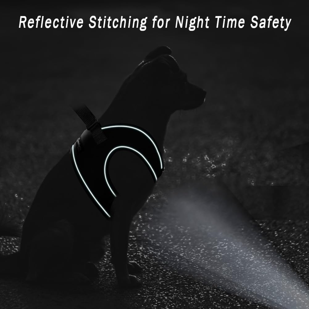 Comfort Fit Step-in Dog Harness for Small Medium Dogs XS No Harness