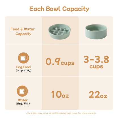 Havniva Ceramic 0.9 Cup Raised Slow Feeder Dog Bowl Set, Elevated Bowl