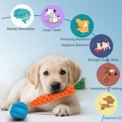 Mnubsrva Dog Toys 15 Pack for Teeth Cleaning and Fun, Puppy Chew