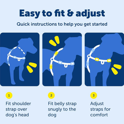 PetSafe Easy Walk No-Pull Dog Harness Harness to Help Stop Leash