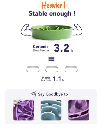 LE TAUCI Ceramic Slow Feeder Dog Bowls Elevated Feeder