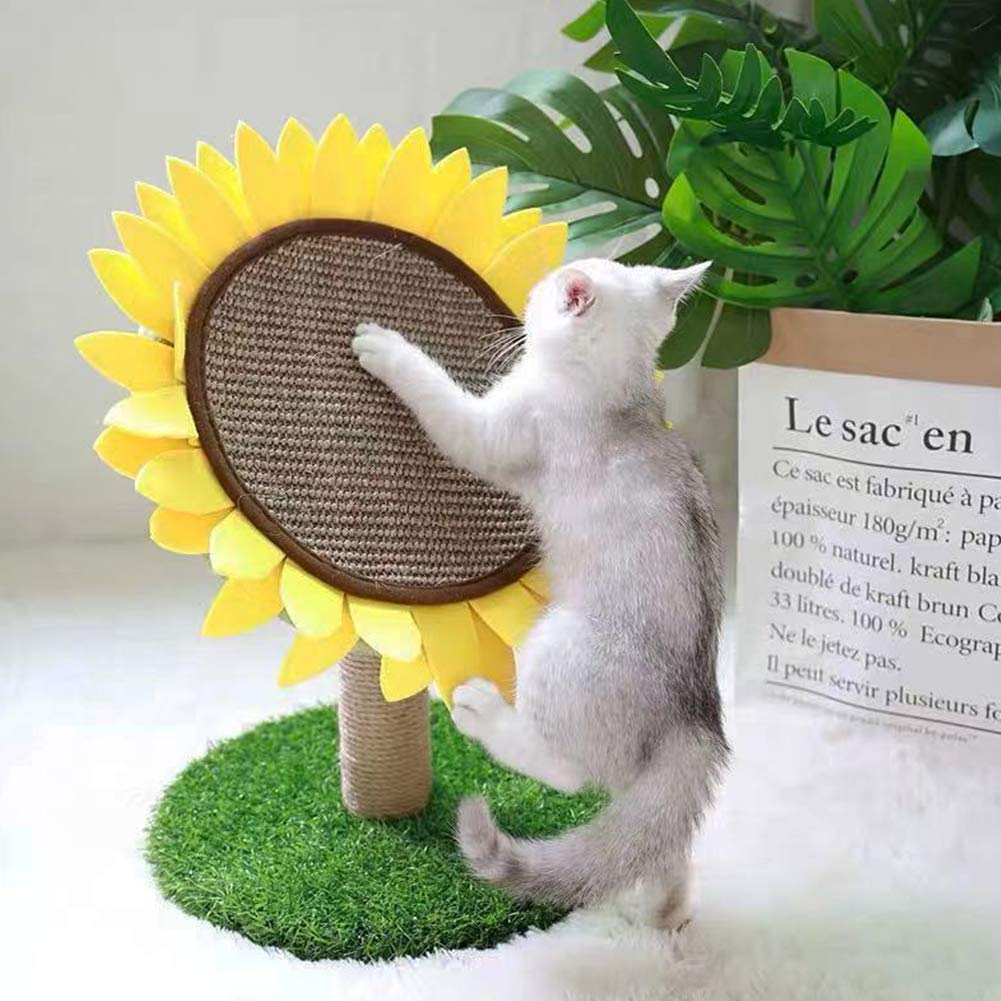 Cat Scratching Posts for Indoor Cats, Cute Flower Cat Tree, Toy