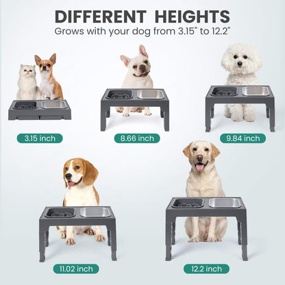 Niubya Elevated Dog Bowls, with Slow Feeder Bowl and Stainless Bowl