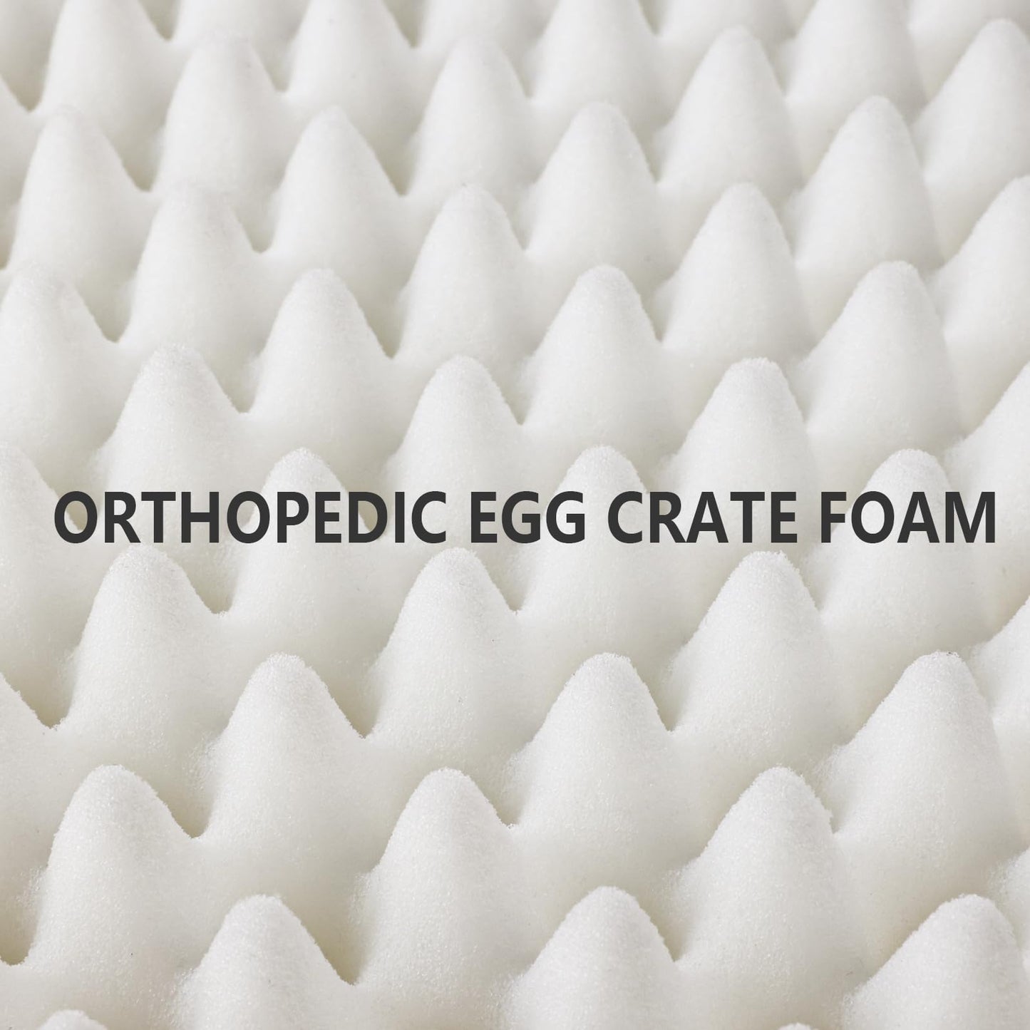 Patas Lague Orthopedic Jumbo Dog Bed for Extra Large Dogs X40'' Bed