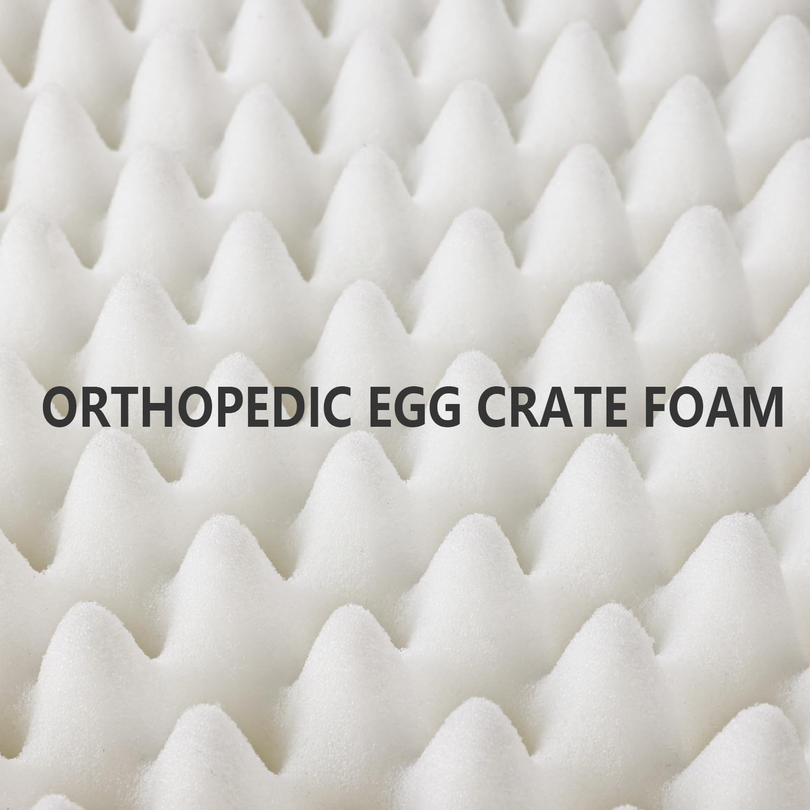 Patas Lague Orthopedic Jumbo Dog Bed for Extra Large Dogs X40'' Bed