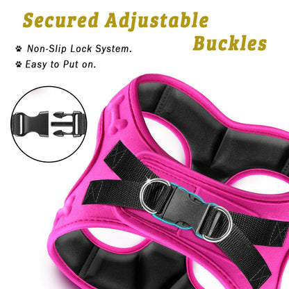 Comfort Fit Dog Harness Soft Padded No Pull Harness with Harness