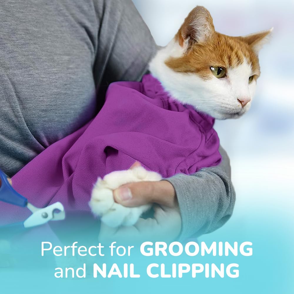 Cat-in-the-Bag Cozy Comfort Carrier Small Pet Carrier and Cat Carrier