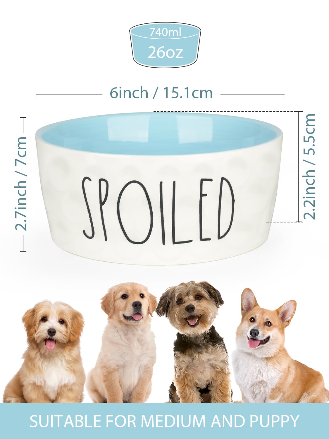 WoofinPets Ceramic Dog Bowl Small Food Water Bowl, Heavy Duty Bowl