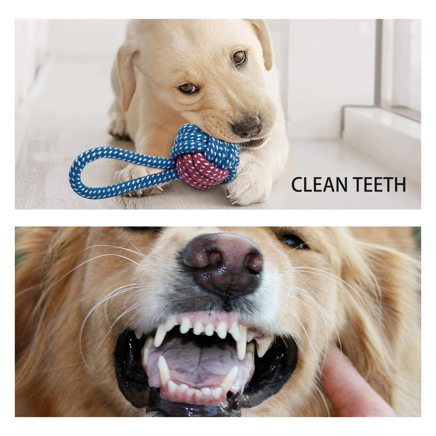Toozey 7 Pack Small Dog Toys, Puppy Teething Toys, Durable Ropes Chew