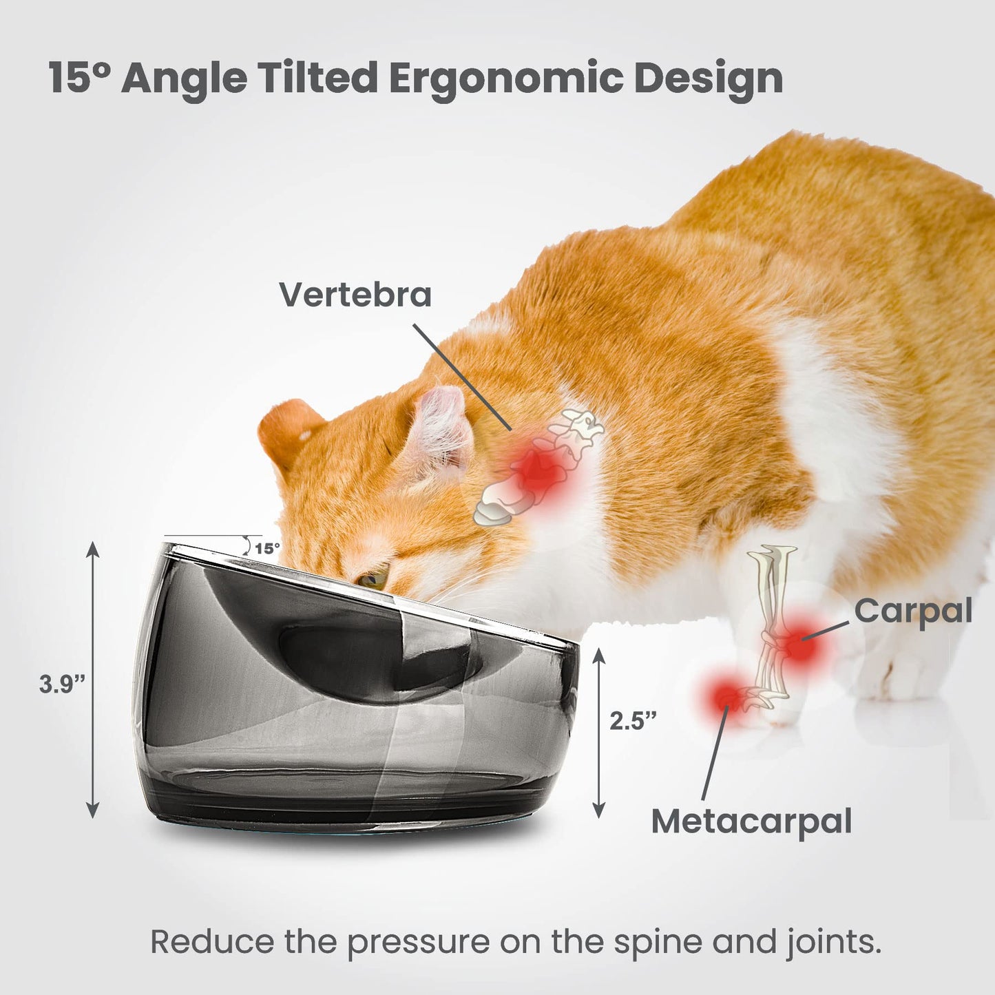 Felli Oblik Elevated Cat Bowl Removable Stainless Steel Wide Dish Bowl
