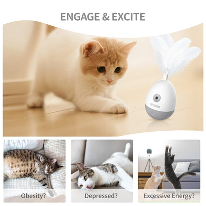 PETGEEK Interactive Cat Laser Pointer Toy with Bird Squeaky, Wand