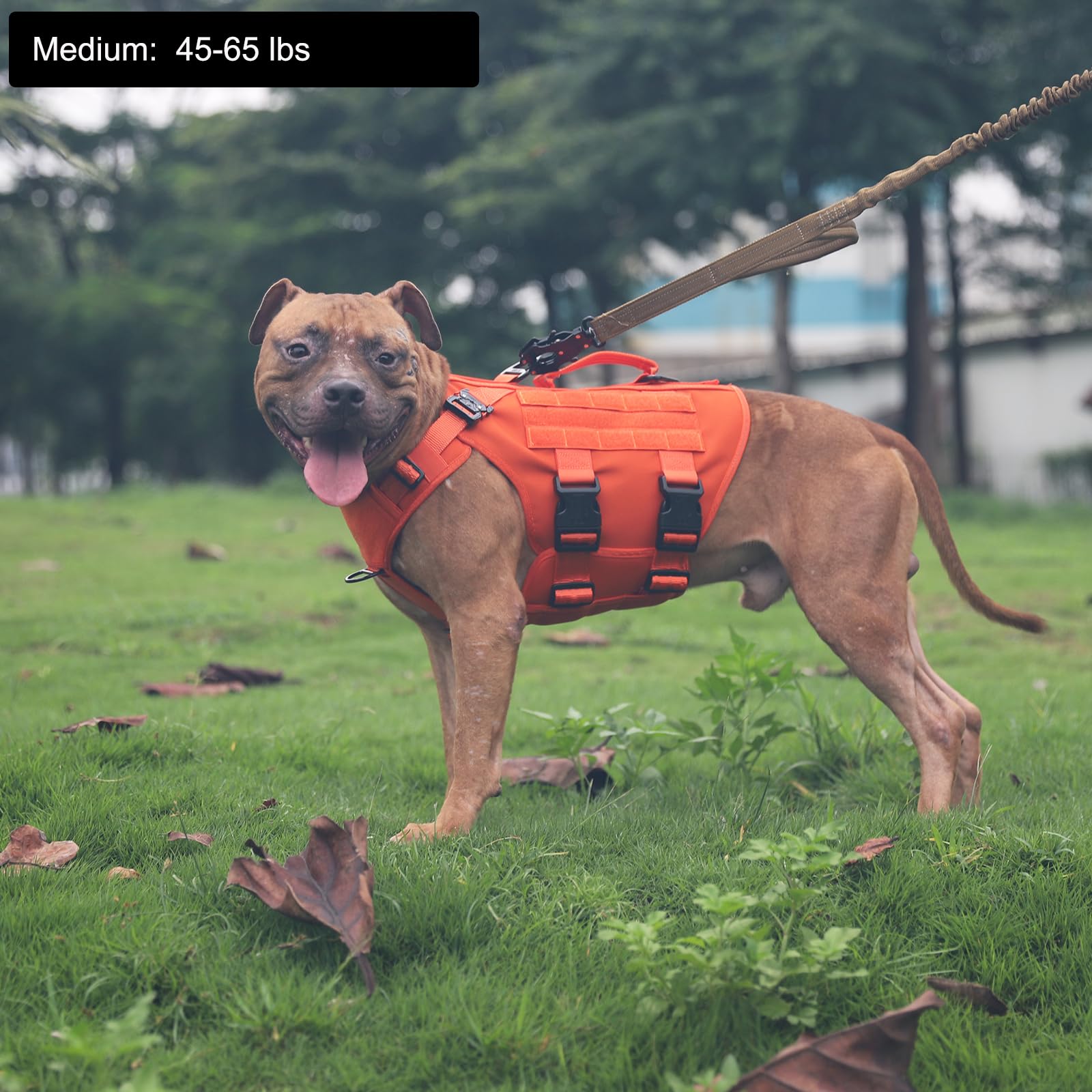 ICEFANG GN3 Tactical Dog Harness with 6X Buckle,Dog Molle Vest