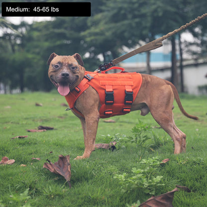 ICEFANG GN3 Tactical Dog Harness with 6X Buckle,Dog Molle Vest