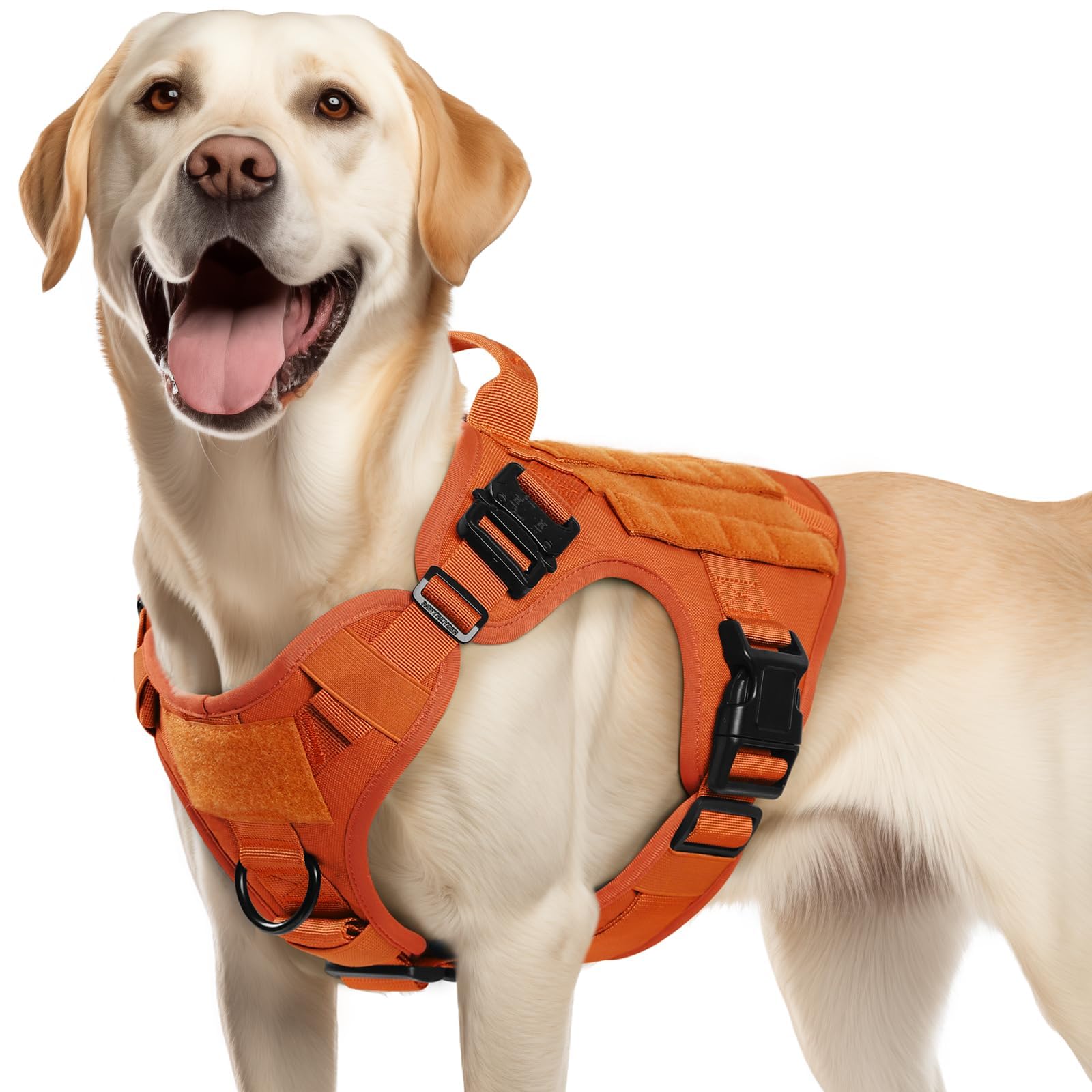 rabbitgoo Tactical Dog Harness Medium Sized, Heavy Duty Pet Harness