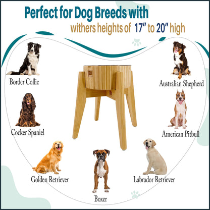 Elevated Slow Feeder Dog Bowls Large Breed (12-inch-high) Raised Bowl