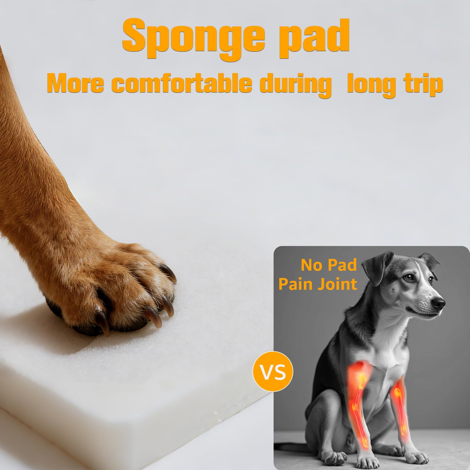PETICON Back Seat Extender for Dogs, Hard Bottom Dog Car Seat Cover