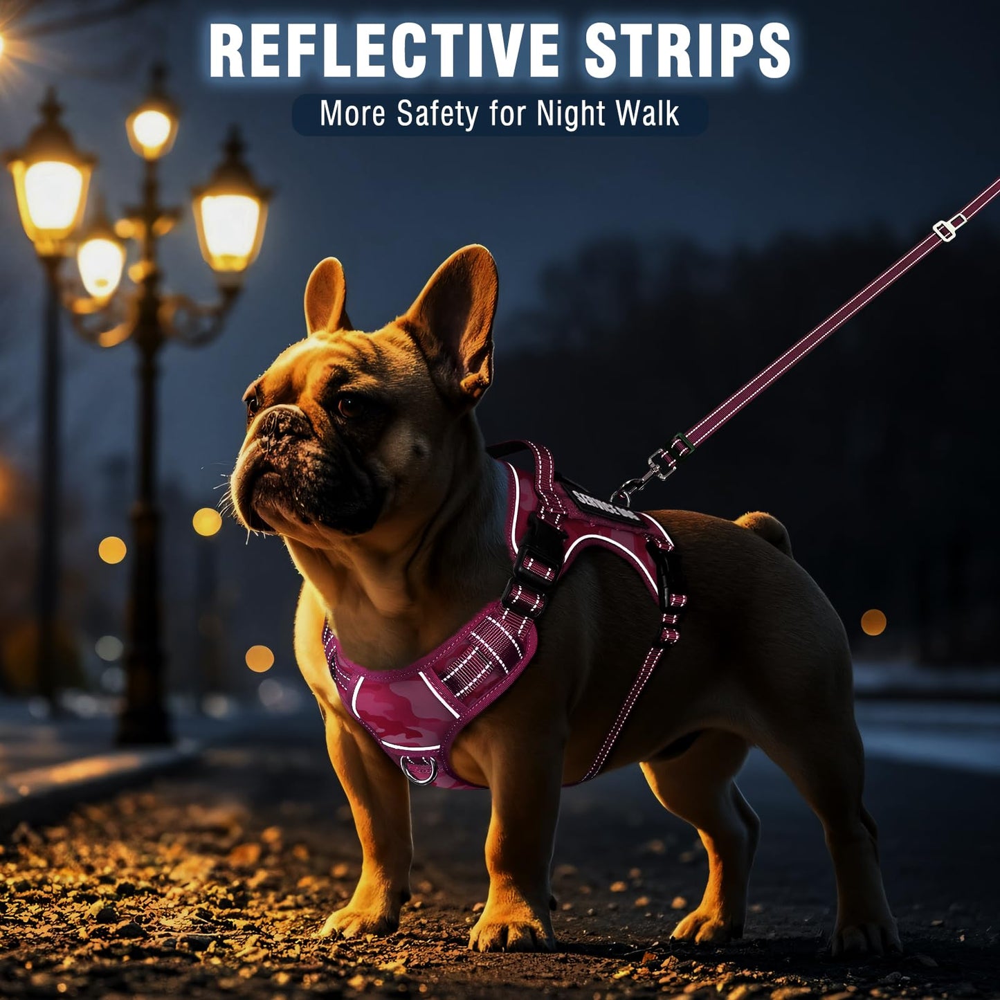 MOOGROU Tactical Service Dog Vest and Leash Set,Heavy Duty No Leash