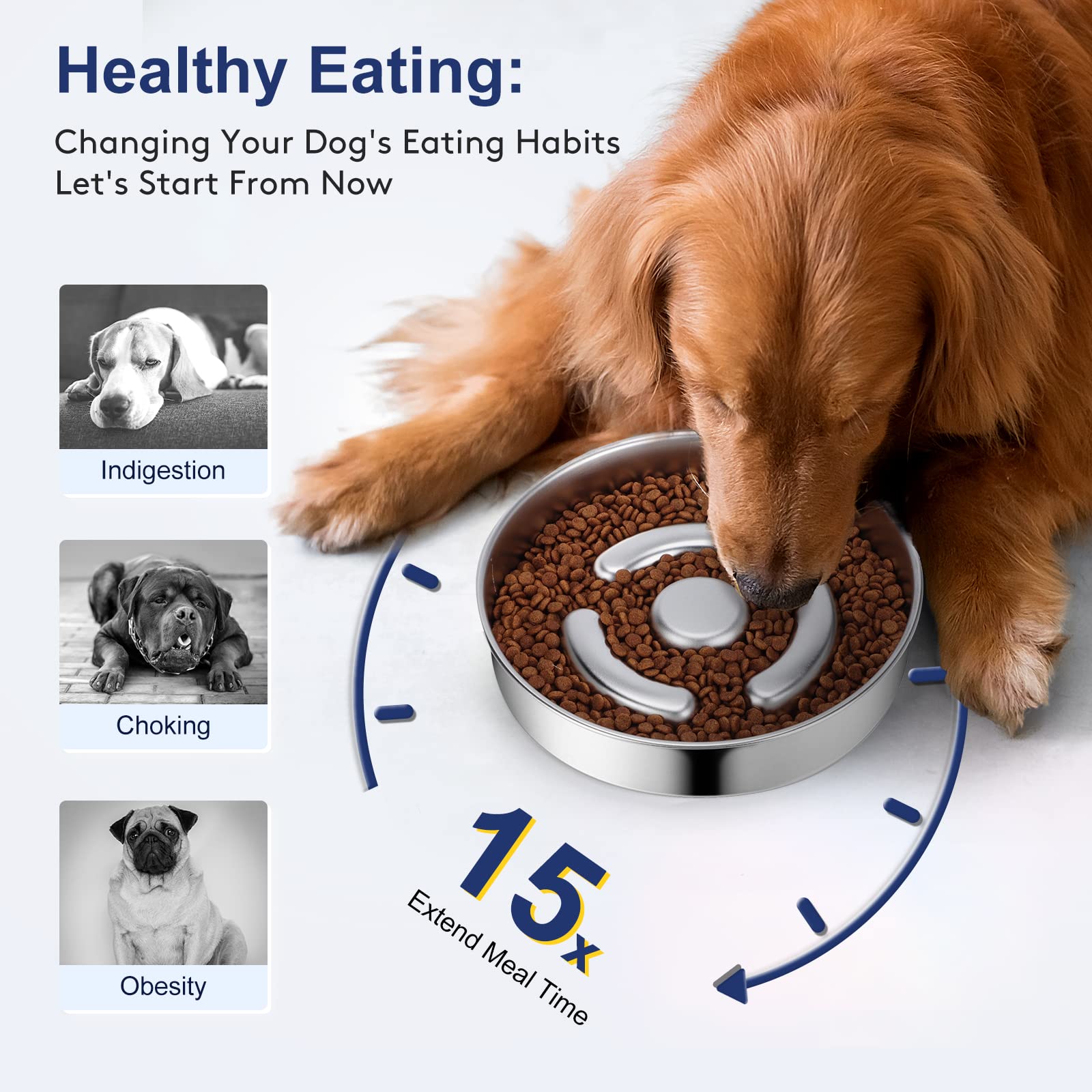 AIPERRO Stainless Steel Non Slip Slow Feeder Dog Bowl, 4 Cups Bowl