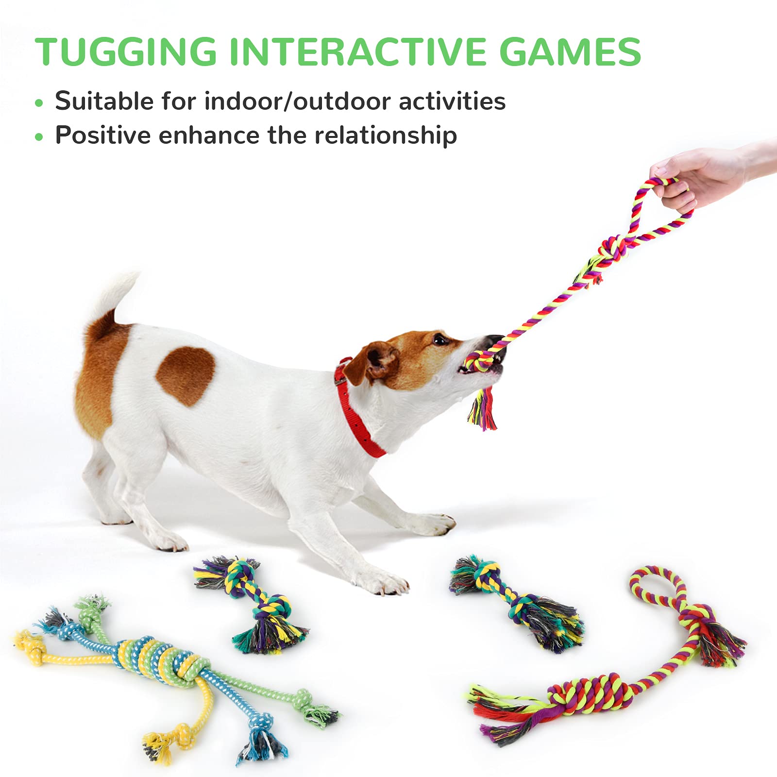 LEGEND SANDY Puppy Toys, Squeaky Dog Toys for Small Dogs, 12 Pack Chew