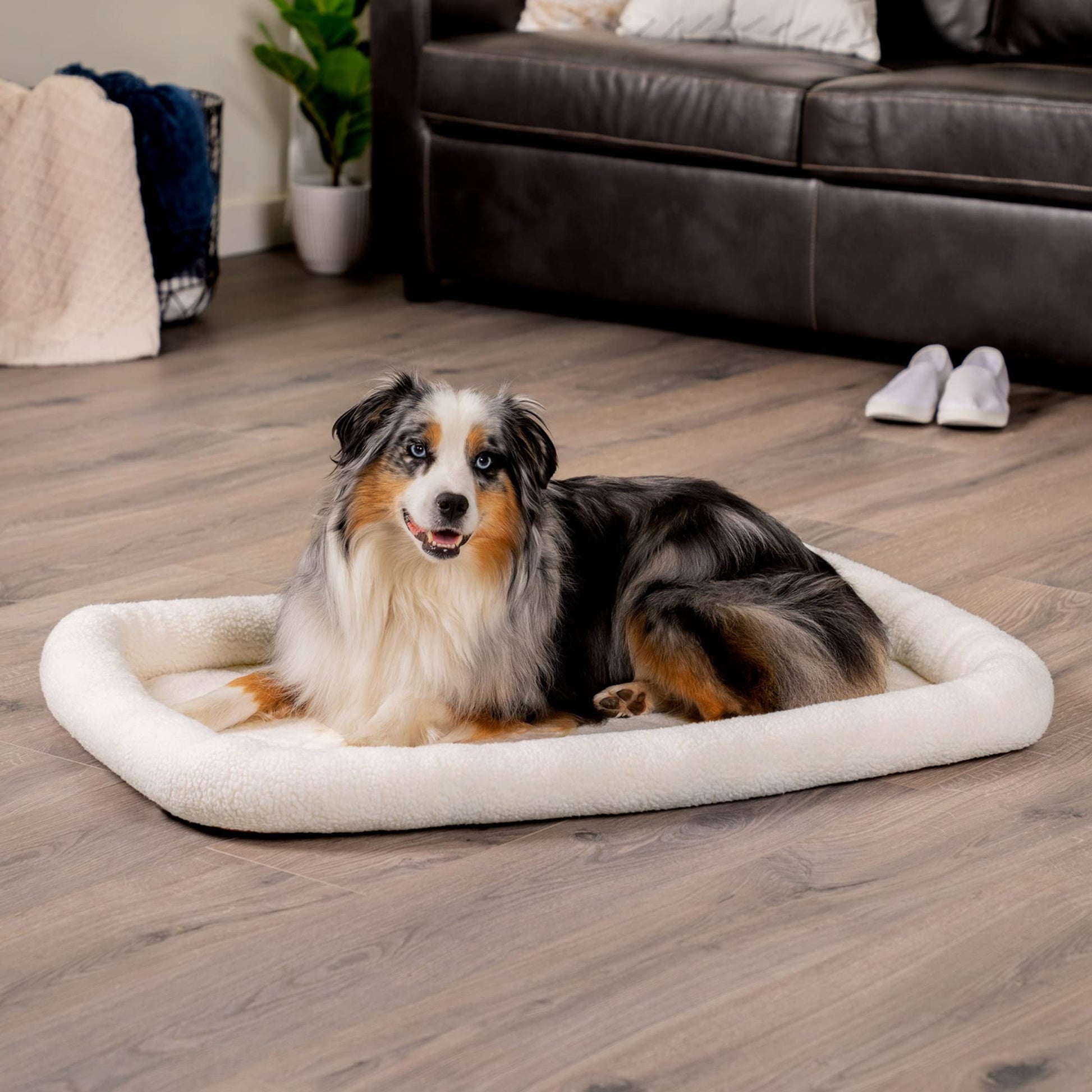 Furhaven Dog Bed for Large Dogs, Washable, Sized to Fit Crates Bed