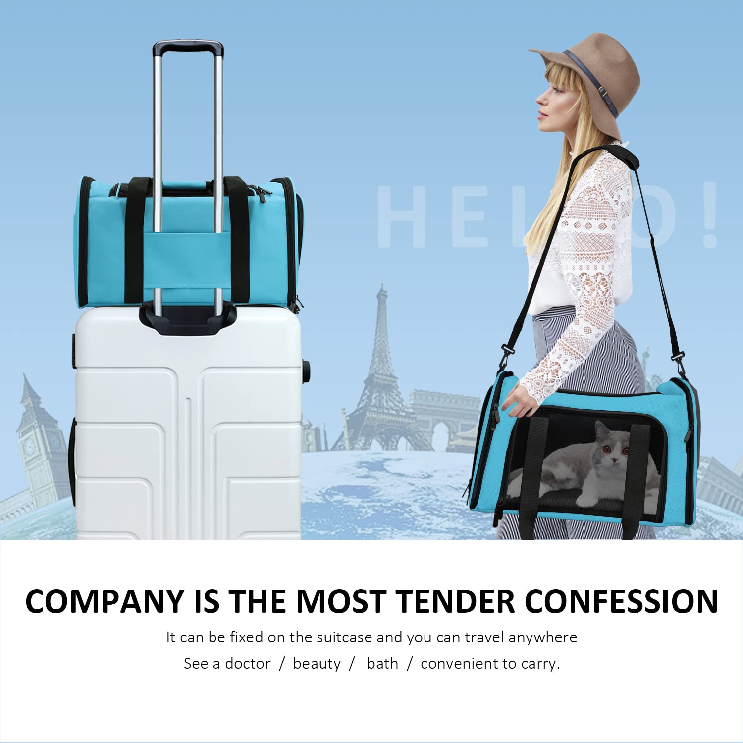 Henkelion Large Cat Carriers Dog Carrier Pet Carrier