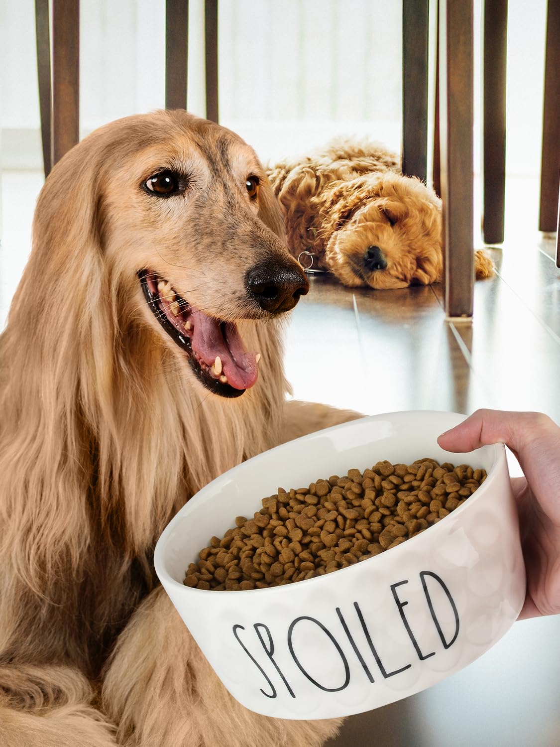 WoofinPets Ceramic Dog Bowl 8'' Non-Slip Feeder