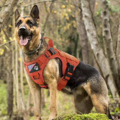 rabbitgoo Tactical Dog Harness Medium Sized, Heavy Duty Pet Harness