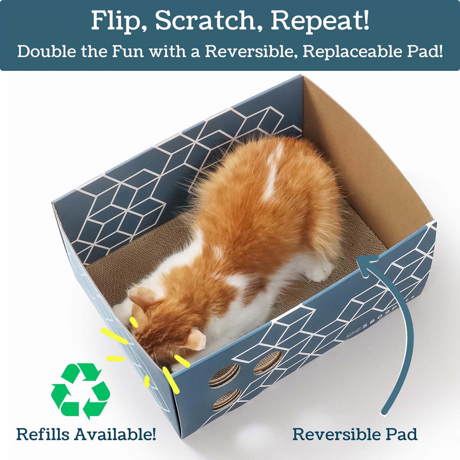 5609PETS Cat Scratching Box, Extra Large Refillable Double-Sided Pad