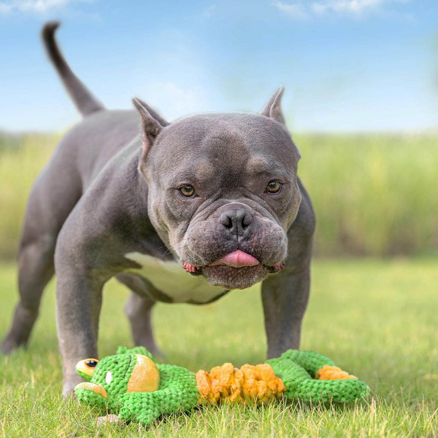 Sedioso Dog Tug Toy, Durable Dog Toys Large Breed, Tug of War Plush