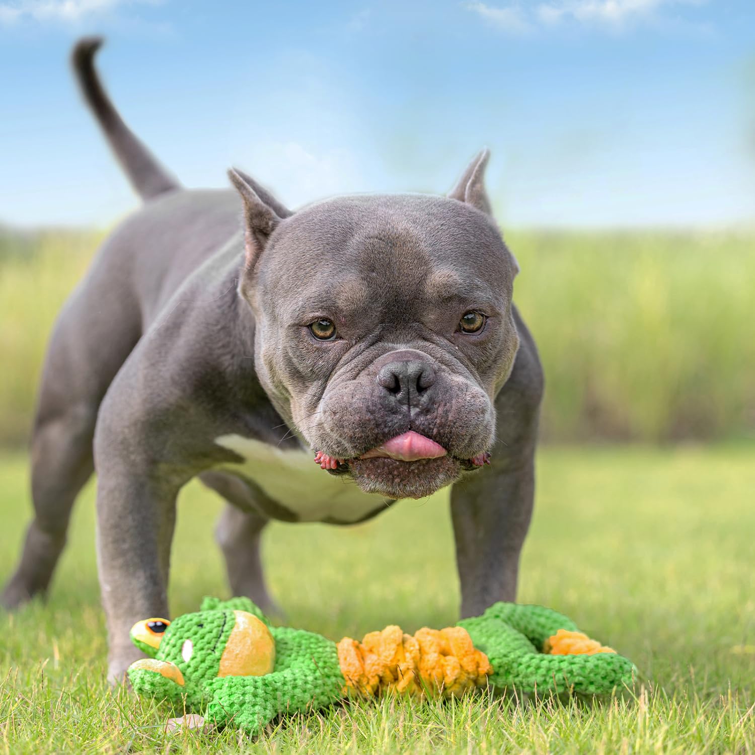 Sedioso Dog Tug Toy, Durable Dog Toys Large Breed, Tug of War Plush