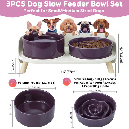 Elevated Slow Feeder Dog Bowls Ceramic Food and Water Bowl Set
