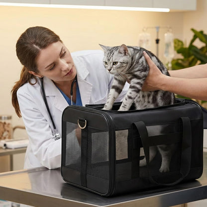 Conlun Cat Carrier Airline Approved, Soft-Sided Dog Carrier with Bag