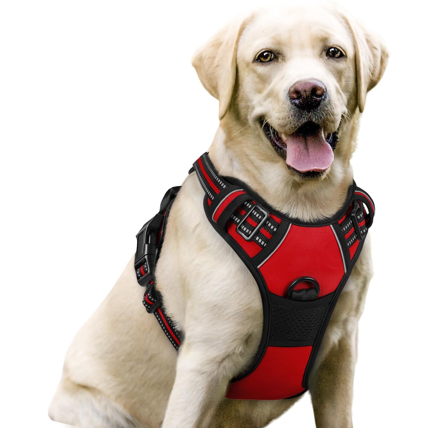 rabbitgoo Dog Harness, No-Pull Pet Harness with 2 Leash Clips Leash