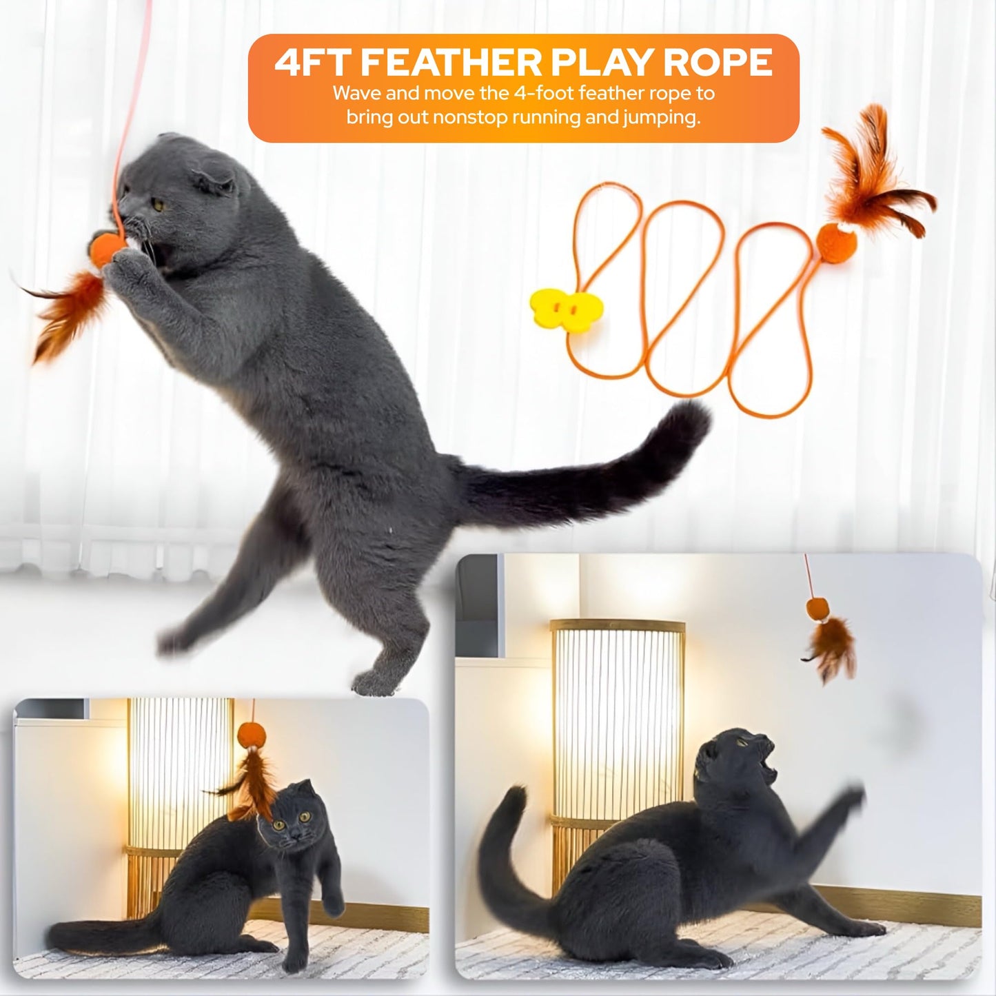 LOOPY CAT Toy Box 5 Interactive Indoor Cat Toys with Spiral Tunnel